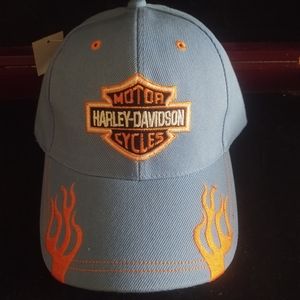 Harley Davidson Logo  hat